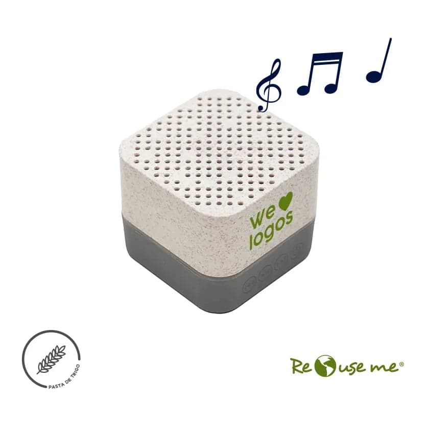 Parlante Wireless Earth